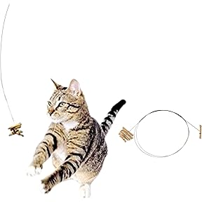 Cat Dancer Catnip Interactive Cat Toy, Double-Ended by Cat Dancer Products - American Made