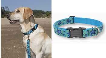 LupinePet Originals 1" Turtle Reef 12-20" Adjustable Collar by Lupine Pet - American Made
