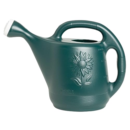 Root & Vessel Classic 2-Gallon Watering Can Outdoor, Hunter Green by Root & Vessel - American Made