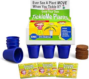 TickleMe Plant Deluxe Family Greenhouse Kit by TickleMe Plant - American Made