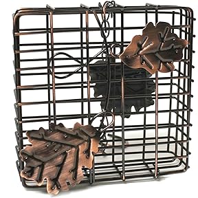 Heath Outdoor Products Cedar Tail-Prop Suet Feeder by Heath Outdoor Products - American Made