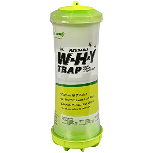 RESCUE! WHY Trap for Wasps, Hornets, and Yellowjackets â€” Reusable with Attractant by RESCUE! - American Made