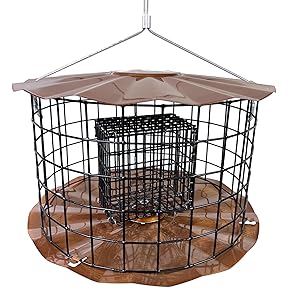 Erva Starling-Proof Double Suet Feeder Green Powdercoat by Erva Tool - American Made