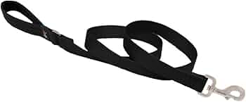 LupinePet Basics 1" Black 4-Foot Padded Handle Dog Leash by Lupine Pet - American Made