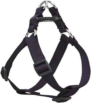 LupinePet Basics 3/4" Black 20-30" Step In Harness for Medium Dogs by Lupine Pet - American Made