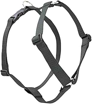 LupinePet Basics 3/4" Black 20-32" Roman Dog Harness for Medium Dogs by Lupine Pet - American Made