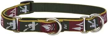 LupinePet 3/4" Trail Mix 10-14" Combo Dog Collar by Lupine Pet - American Made
