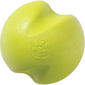 Planet Dog Orbee-Tuff Recycle Ball 2-Piece Set by Planet Dog - American Made