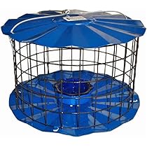 Erva Starling-Proof Bluebird Feeder with Glass Mealworm Cup by Erva Tool - American Made