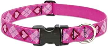 LupinePet Originals 1" Puppy Love 16-28" Adjustable Collar for Large Dogs by Lupine Pet - American Made