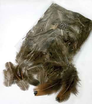 Creativity Street Natural Feathers Assorted Colors 200-Count by Creativity Street - American Made