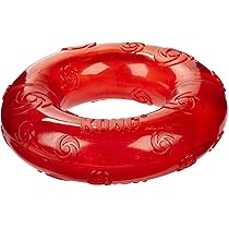 KONG Squeezz Ring Large Squeaky Dog Toy by KONG - American Made
