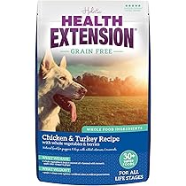 Health Extension