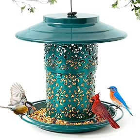 Birds Choice Pinecone Tube Bird Feeder 6-Inch Copper Verdi by Birds Choice - American Made