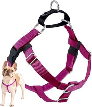 2 Hounds Design Freedom No Pull Harness with Leash Small Raspberry by 2 Hounds Design - American Made