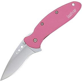 Kershaw Chive 1600PINK Pink Aluminum 420HC by Kershaw - American Made