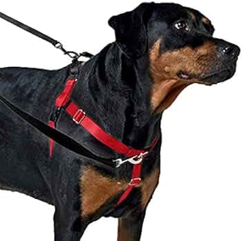 2 Hounds Design Freedom No Pull Harness Only XSmall Red by 2 Hounds Design - American Made