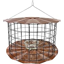 Erva Bluebird Feeder with Glass Mealworm Cup Copper Finish by Erva Tool - American Made