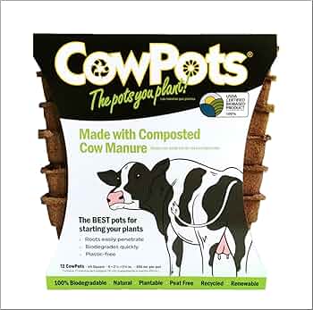 CowPots 4-Inch Square Biodegradable Cow Manure Pots 12-Count by CowPots - American Made
