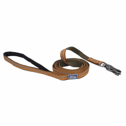 Coastal Pet 6-Foot Nylon Dog Leash 5/8-Inch by Coastal Pet Products - American Made