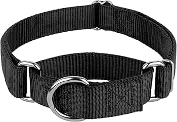 Country Brook Petz Martingale Dog Collar Heavy-Duty 1-Inch by Country Brook Design - American Made