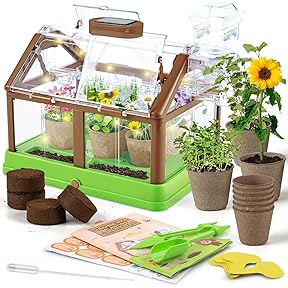 TickleMe Plant Deluxe Greenhouse Kit with Paint Set by TickleMe Plant - American Made