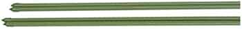 Panacea Products 2-Foot Green Metal Plant Stake by Panacea Products - American Made