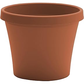 Bloem Dura Cotta Planter 8 Inch Terra Cotta by Bloem - American Made