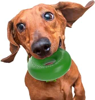 Goughnuts Rubber Dog Chew Toy Ring, Green by Goughnuts - American Made