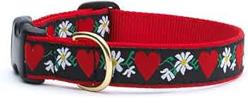 Up Country Hearts & Flowers Dog Collar Medium by Up Country - American Made