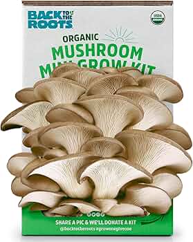 Back to the Roots Organic Mushroom Growing Kit by Back to the Roots - American Made
