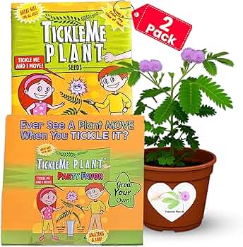TickleMe Plant Birthday Party Favors 2-Pack by TickleMe Plant - American Made