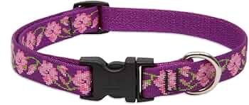 LupinePet Originals 3/4" Rose Garden 15-25" Adjustable Collar by Lupine Pet - American Made