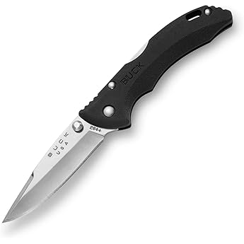 Buck Knives 285 Bantam BLW Folding Knife with Removable Clip by Buck Knives - American Made