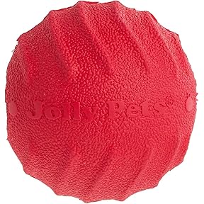 Planet Dog Orbee-Tuff Chili Pepper Dog Toy, 3-Inch Red by Planet Dog - American Made