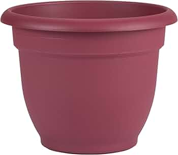 Bloem Ariana Self-Watering Planter 10 Inch Union Red by Bloem - American Made