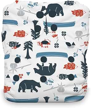 Thirsties One Size All in One Reusable Cloth Diaper Snap Closure Made in USA by Thirsties - American Made