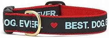 Up Country Best Dog Ever Collar Large by Up Country - American Made