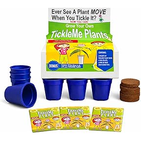 TickleMe Plant Classroom Science Kit for 30 Students by TickleMe Plant - American Made