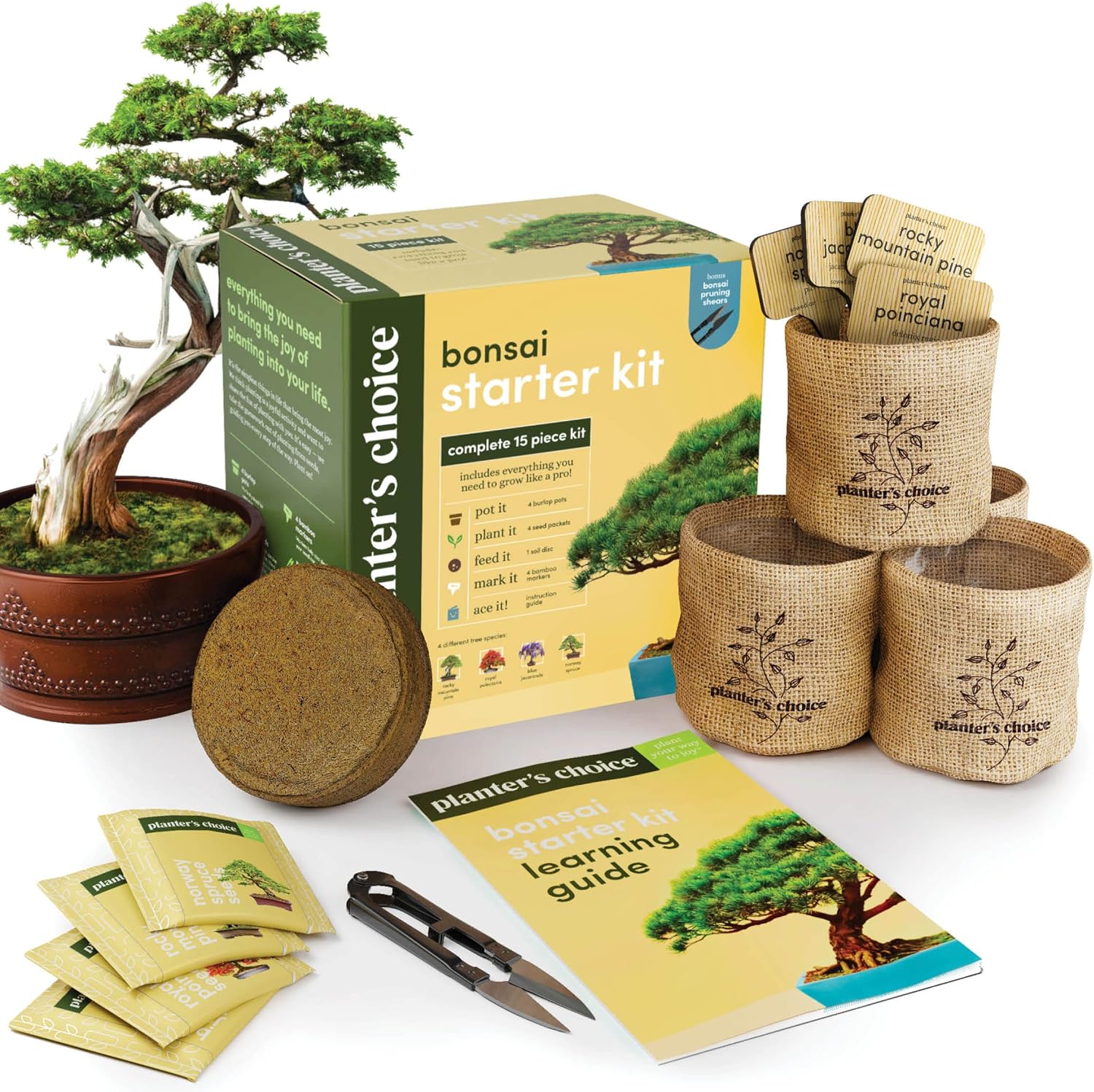 Planters' Choice Bonsai Starter Kit Complete Kit to Grow 4 Bonsai Trees by Planters' Choice - American Made