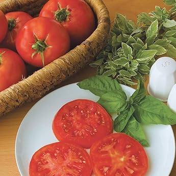 Burpee Super Beefsteak Red Beefsteak Slicing Tomato 175 Non-GMO Seeds by Burpee - American Made