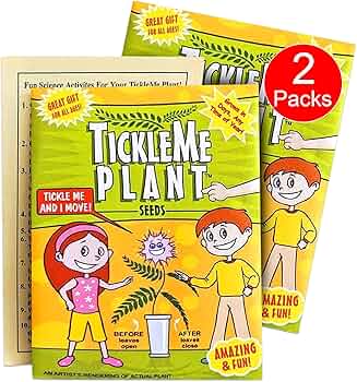 TickleMe Plant Seeds for Indoor Planting 2-Pack by TickleMe Plant - American Made
