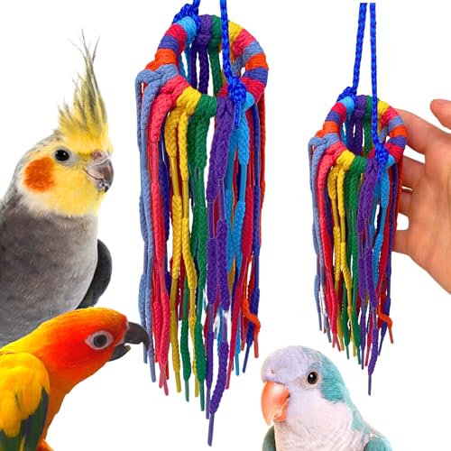 Bonka Bird Toys 51214 Small Aglet Heaven Cotton Shoelace Toy with Plastic Aglets and 2" Ring for Parakeets Coc by Bonka Bird Toys - American Made