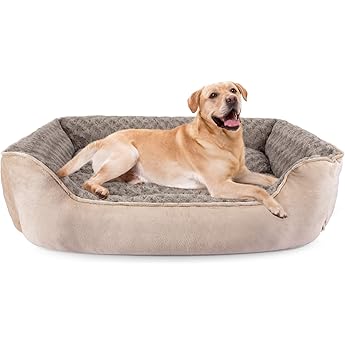 Carolina Pet Company Classic Canvas Bolster Dog Bed Small by Carolina Pet Company - American Made