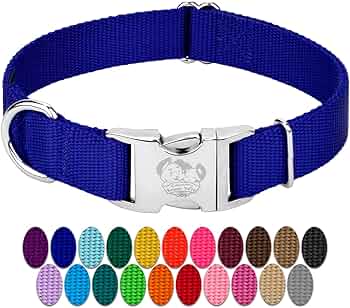 Country Brook Petz Premium Nylon Dog Collar with Metal Buckle 1-Inch by Country Brook Design - American Made