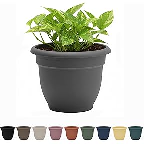 Bloem Ariana Self-Watering Planter 20 Inch Burnt Red by Bloem - American Made
