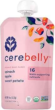 Cerebelly Butternut Squash and Apple Organic Baby Food Pouches 4 Pack by Cerebelly - American Made