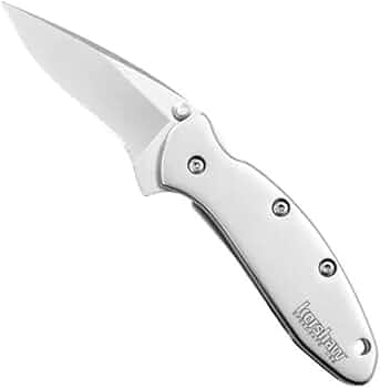Kershaw Chive 1600 1.9-Inch 420HC Pocket Knife Silver by Kershaw - American Made