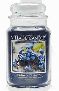 Village Candle Warm Sunlight Scented Jar Candle, Large by Village Candle - American Made