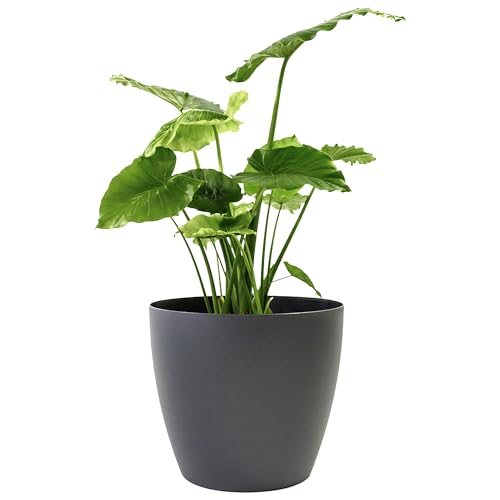 Greenline Manufacturing Memphis 15" Round Indoor Floor Planter Pot – Lightweight & Durable Plastic, Modern Des by Greenline Manufacturing - American Made